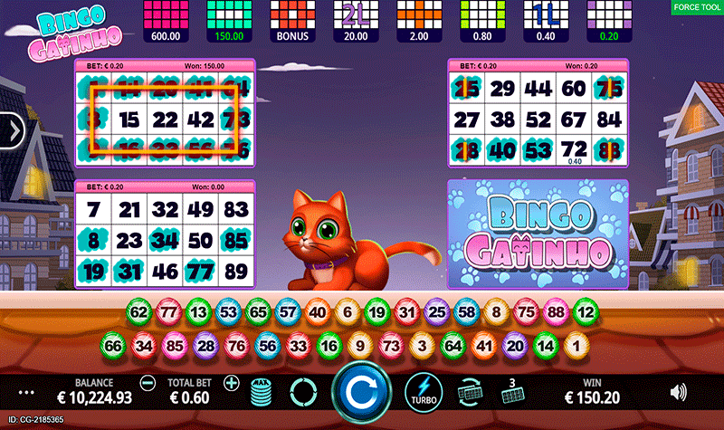 Bingo Gatinho