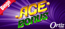 El juego más sorprendente de todos los tiempos está aquí para alegrar, entretener y traer mucha suerte para usted. <br/>
Con el sorteo inicial de 30 bolas, hasta 10 bolas extras y 4 cartones tendrá más chances de ganar y divertirse.  <br/>
Cuando el comodín aparece permite seleccionar la próxima bola extra que saldrá y al realizar perímetro activa el bonus Puerta para recibir aún más beneficios. Venga y aventúrese en esta nueva atracción!