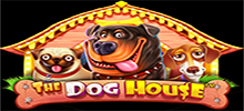 Únete a la pandilla en Dog House, la slot de 5×3 y 20 líneas. Todos los WILD tienen multiplicadores en los carretes 2, 3 y 4 y en la ronda de tiradas gratis, acumula las victorias con la función de WILDs pegajosos.
