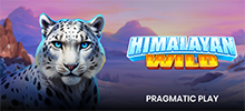 Embárcate en una expedición a la cadena montañosa más alta del mundo con Himalayan Wild™.<br/>
Explora los legendarios picos de las montañas en esta tragamonedas de 5×3 y 40 líneas, donde las criaturas de las montañas son los símbolos de mayor valor en un juego lleno de acción con giros gratis, multiplicadores, premios mayores y la emocionante función Hit'n Roll.<br/>
El símbolo de dispersión del pico de la montaña aparece en los carretes uno, tres y cinco, ¡y necesitas obtener tres para desbloquear nueve giros gratis!<br/>
<br/>
Qué esperar:<br/>
Los comodines activan la función Hit'n Roll, que hace que se muevan aleatoriamente hacia arriba o hacia abajo en los carretes, dejando un rastro de multiplicadores que aumentan en x1 cada vez que cambian de posición.<br/>
Cada vez que aparece un símbolo de bonificación en la ronda de giros gratis, activado por una línea ganadora a través de un comodín, el número de giros se restablece a tres. Un símbolo de bonificación otorga una ganancia repetida si el valor es el mismo que activó los giros gratis.<br/>
Nueve giros gratis, que se activan al obtener tres símbolos de dispersión, también permiten el uso de la función Hit'n Roll en la ronda de bonificación. Los giros gratis y los súper giros gratis disponibles para su compra aumentan aún más las posibilidades de obtener grandes ganancias.