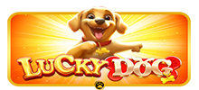 Consigue ganancias de hasta 1000x en Lucky Dog.  La función de re-giro se activa aleatoriamente, ofreciendo a los jugadores la posibilidad de elegir entre cuatro bolsas de perritos para decidir cuántos re-giros recibir. Por cada re-giro, el multiplicador de ganancias aumenta +1x durante la función.  Una vez finalizados los re-giros, los jugadores pueden volver a elegir entre cuatro opciones para tener la oportunidad de recibir más re-giros o volver al juego principal.