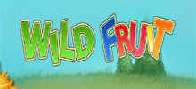 Encontrarás algunas frutas muy sabrosas y nutritivas que te ofrecen características tentadoras en Wild Fruit. Nadie niega la posibilidad de recibir frutas saludables y algo de dinero mientras juegas en esta tragamonedas. Únete a Adam the Apple, Barry the Blueberry y Paula the Pineapple en este juego; Mantente atento a Berty the Bird, quien te llevará al juego de bonificación.<br/>
  Para mantener todo agradable y saludable, pasa a la ronda de bonificación y es hora de ir a recoger tus verduras. Zanahorias crujientes y tomates jugosos están ahí para que los tomes, pero ten cuidado con Berty the Bird, listo para arruinar tu diversión.
