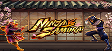 Ninja vs Samurai<br/>
Durante el período Sengoku en Japón, la práctica de contratar mercenarios para protegerse era muy común entre las familias ricas que podían permitírselo. Naturalmente, el clan Samurai y el clan Ninja compiten por esos puestos, con la esperanza de aportar honor, respeto y riqueza a su clan si son elegidos.<br/>
Debido a esta disputa en curso entre los dos clanes, se ve a samuráis y ninjas peleando a diario, con la esperanza de mostrar sus fortalezas y poder a todas las familias ricas que todavía estaban contratando. Los samuráis se enorgullecen de sus habilidades de lucha con espada y su fuerza bruta, mientras que los ninjas ofrecen secreto y protección oculta en los lugares más inesperados.