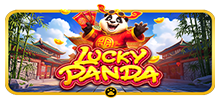 Relájate bajo los cerezos en flor en Lucky Panda.<br/>
<br/>
Con cada giro, se activa un símbolo multiplicador especial que multiplica cualquier combinación ganadora de 2 a 10 veces.<br/>
<br/>
El símbolo Wild del panda puede activar aleatoriamente el juego de bonificación cada vez que aparece, otorgando ocho Giros Gratis. Durante la función, pueden aparecer hasta tres multiplicadores que se suman y se aplican a las ganancias totales de esa ronda.