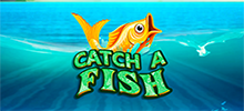 ¡El río está lleno de premios en Catch a Fish! ¡Acomódate en tu bote y usa las burbujas de bolas adicionales para pescar un Bingo! En el juego de bonificación, elige los mejores peces y consigue muchas ganancias. ¿Estás listo? Entonces prepárate tu caña de pescar y ven a disfrutar de este río de dinero en efectivo 